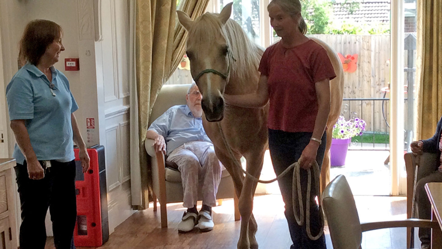 Participants of Whispering Ponies