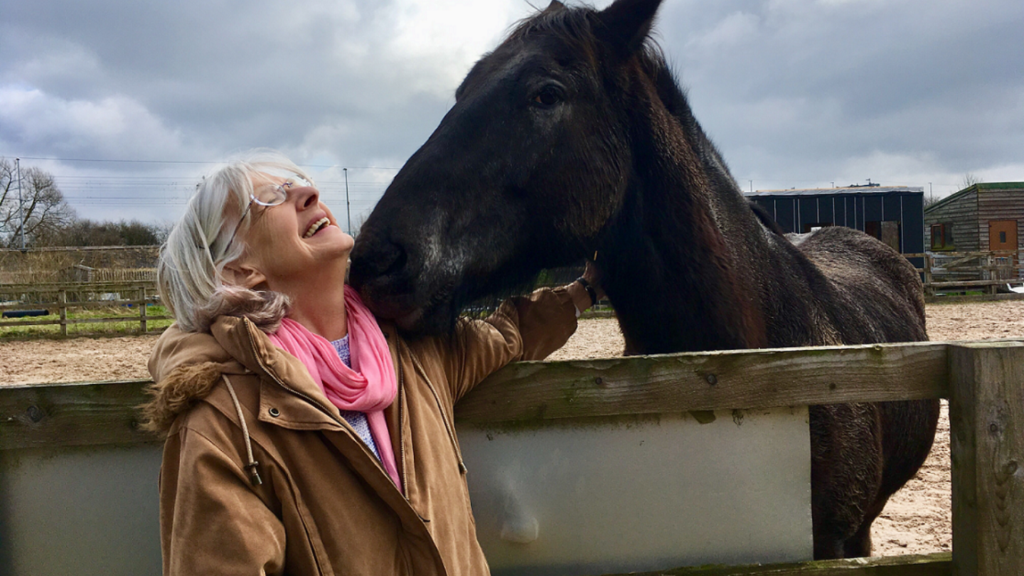 Participants of The Horsepower of Love