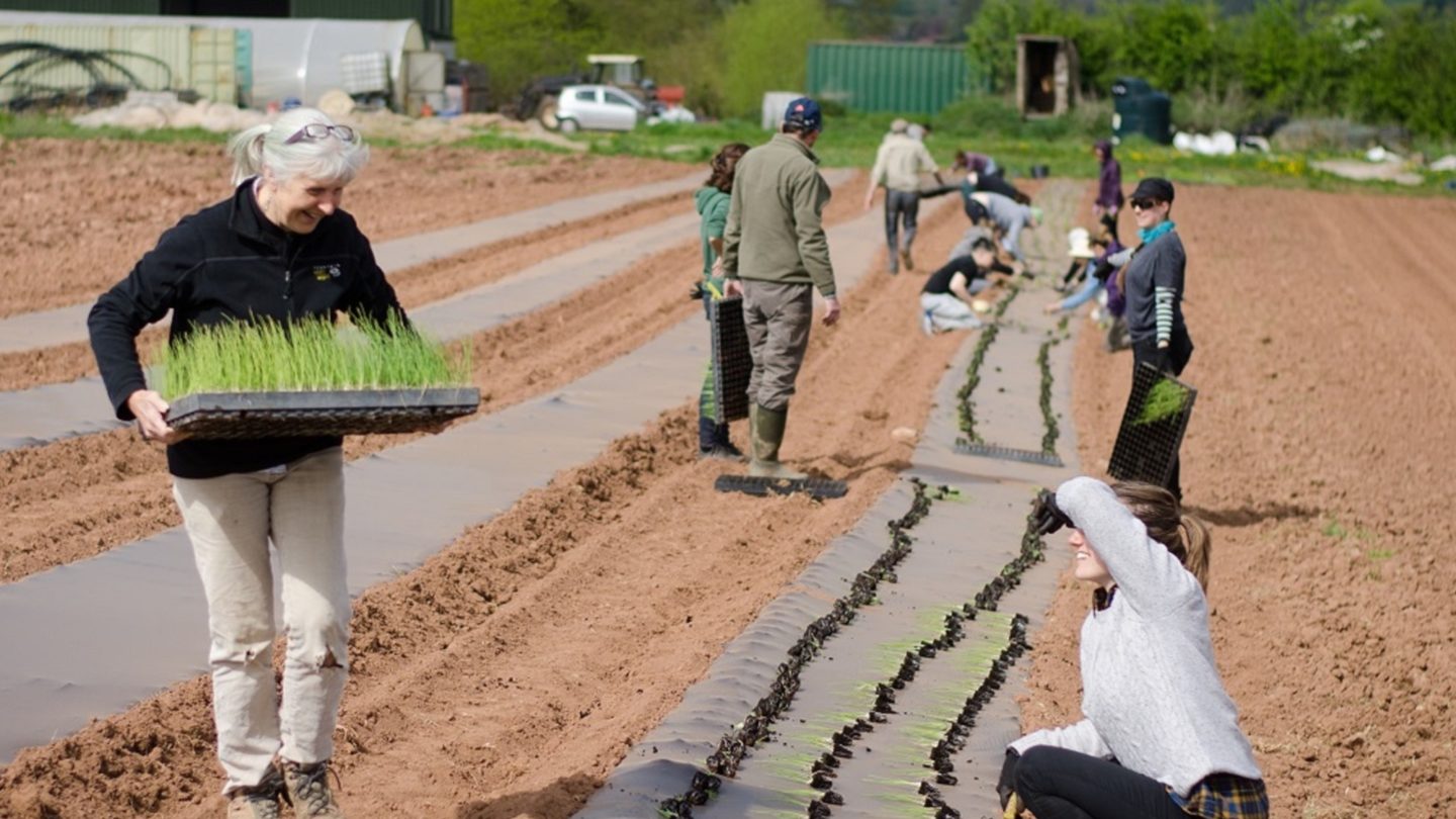 Participants of The Feel Good Garden - a place to go and grow